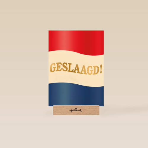 geslaagd kaart nederlandse vlag