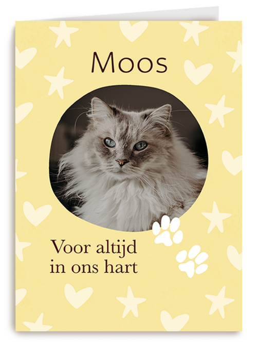Fotokaart Condoleance kaarten | Hallmark | Fotokaart Hallmark | Condoleance kaarten | Condoleance Voor Altijd In Ons Hart