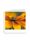 Sterkte kaart gele bloem Polaroid