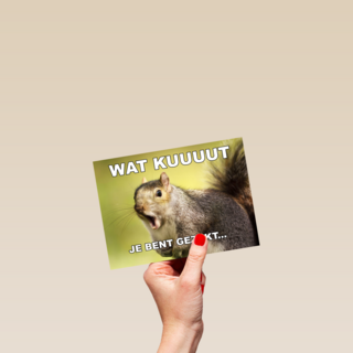 gezakt kaart wat kuuuut