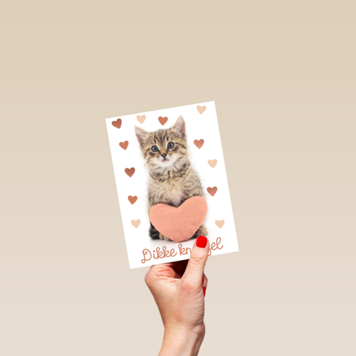 Liefde kaart kat met hart en dikke knuffel
