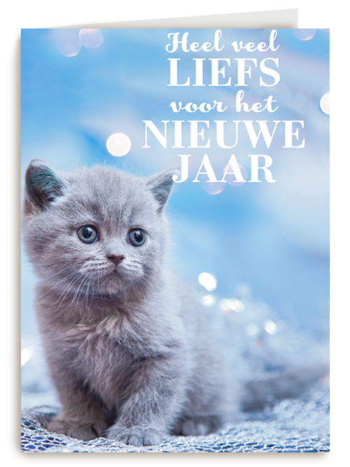 Kaart Hallmark | Nieuwjaar | Veel Liefs Voor Het Nieuwe Jaar Met Deze Kitten