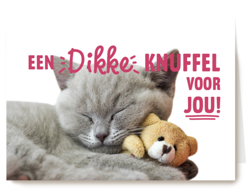 een dikke kattenknuffel voor jou