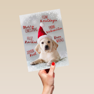 kerstpuppy met muts