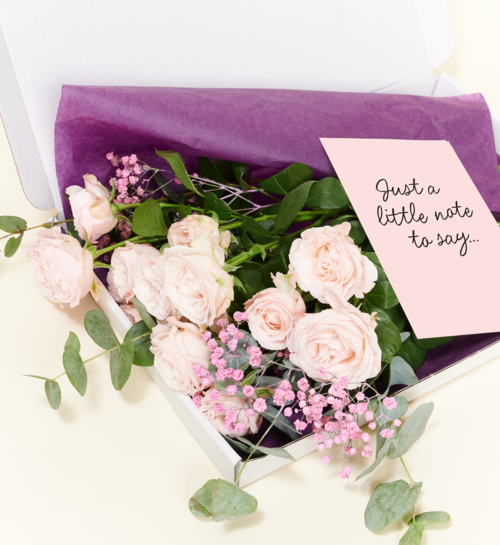 Brievenbusbloemen Ombre Rosa