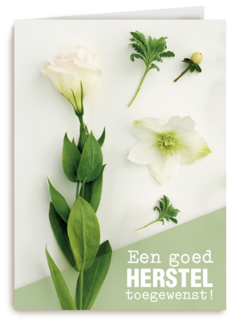 botanical kaart een goed herstel toegewenst