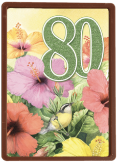 verjaardag leeftijden marjolein bastin 80 jaar