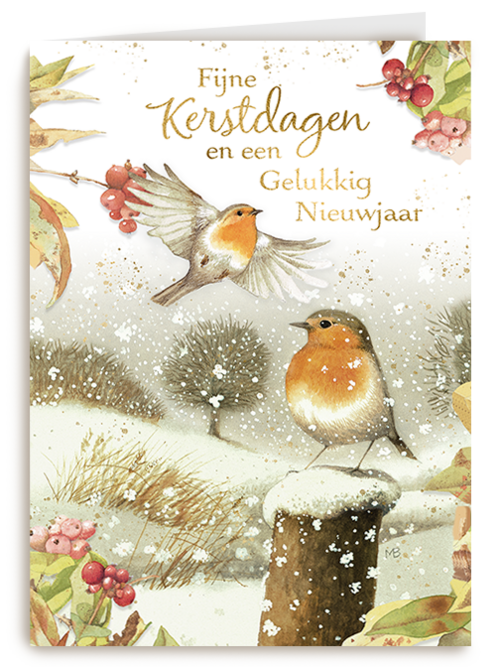 Kerstkaart Hallmark | Marjolein Bastin Kerstdagen Vogels