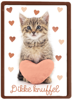 Liefde kaart kat met hart en dikke knuffel