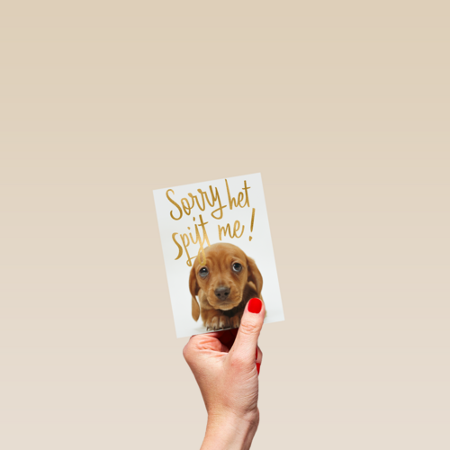 verjaardag te laat sorry het spijt me puppy