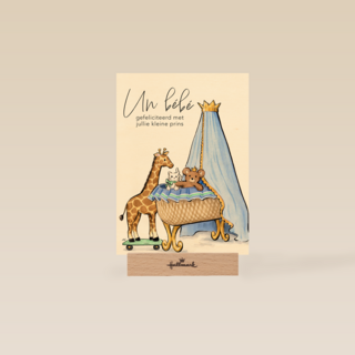 Anna Wijnands Un bebe jongen