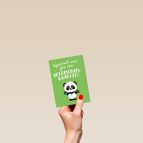 beterschapsknuffel van een panda