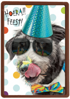 hoera feest hond met zonnebril