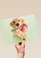 hond met bloemen