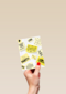 succes post its