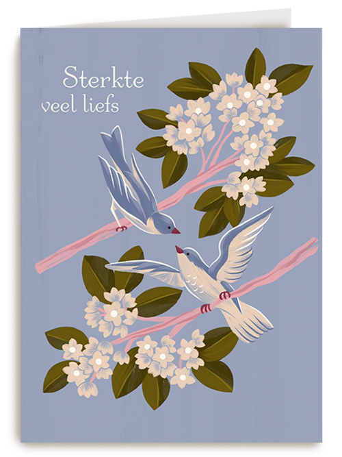 Kaart Hallmark | Condoleance kaarten | Sterkte Veel Liefs Vogels Op Tak