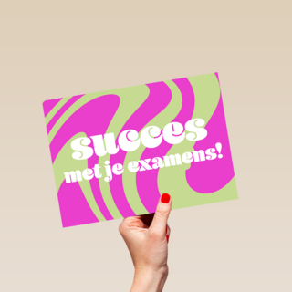 Swirl Succes Examens