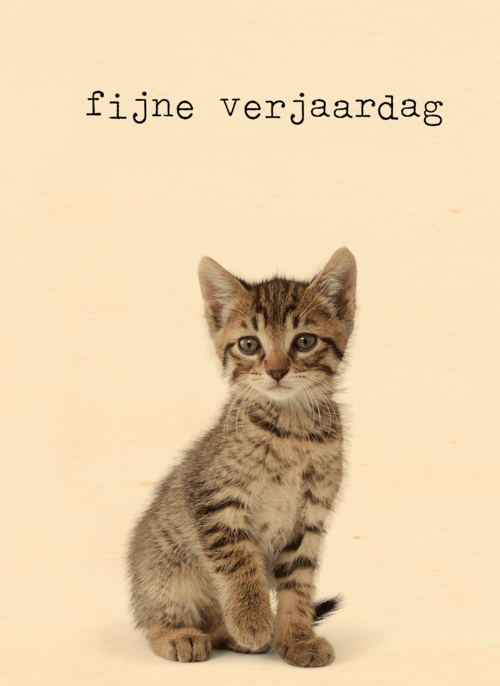 Houten Kaart Verjaardagskaarten | Verjaardagskaart Furry Cuddles Poes