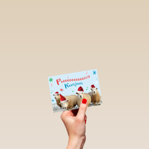 schapen prettig kerstfeest