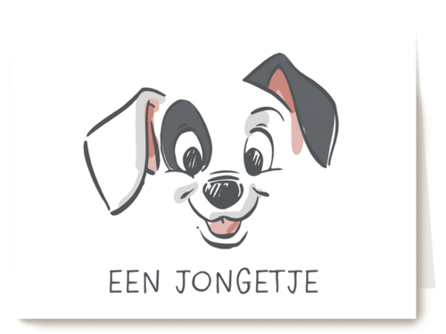geboorte felicitatie Disney jongetje