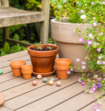 Jij Bent Goud Waard Blossombs Box Met 4 Bloemzaden