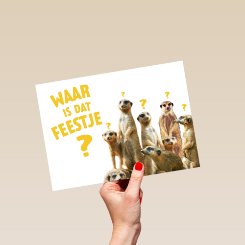 waar is dat feestje met stokstaartjes
