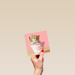 Geboorte felicitatie zusje