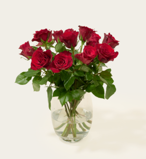 Brievenbusbloemen Rozen Rood