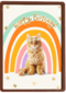 Regenboog kat Happy Birthday