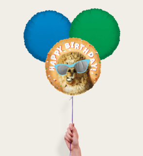 Ballonnentros  Happy Birthday Lama Oranje