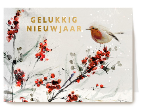 nieuwjaarskaart sneeuwtak met roodborstje