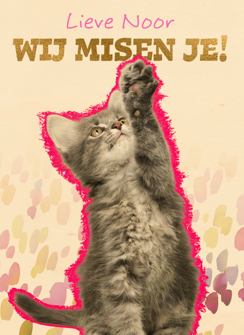 Houten Kaart Op Kamp | Houten Kaart Hallmark | Op Kamp | Lieve We Missen Je Kat Op Kamp