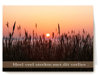 Sterkte met fotografisch ondergaande zon