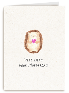 Moederdag Veel LiefsE gel