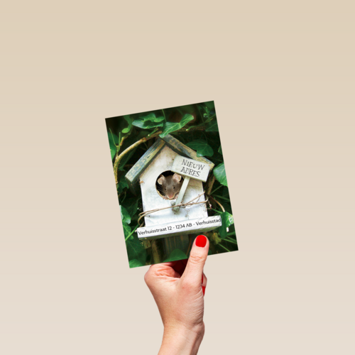 verhuizen nieuw adres vogelhuis