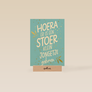hoera er is een stoer klein jongetje geboren