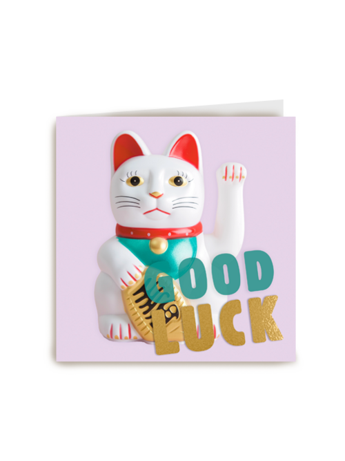 Succes kaart poes die zwaait