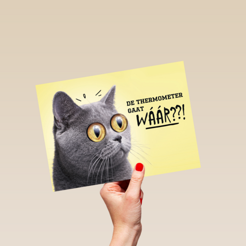 animal fiesta de thermometer gaat waar