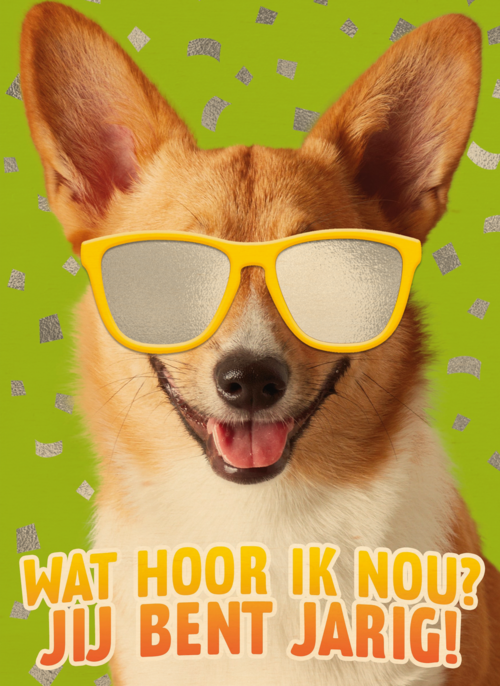 wat een coole hond voor je verjaardag