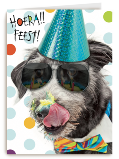 hoera feest hond met zonnebril