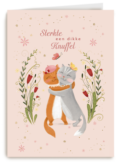 Sterkte Een Dikke Knuffel