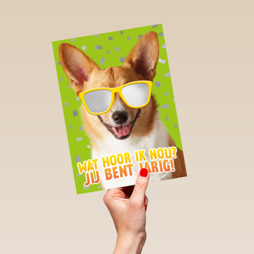 wat een coole hond voor je verjaardag