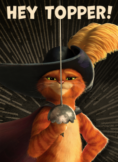 Puss in boots verjaardagskaart Hey topper