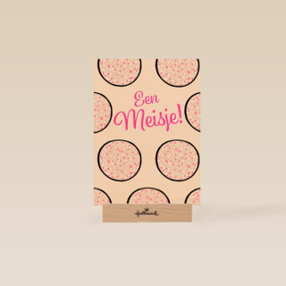 Roze beschuit met muisjes een meisje