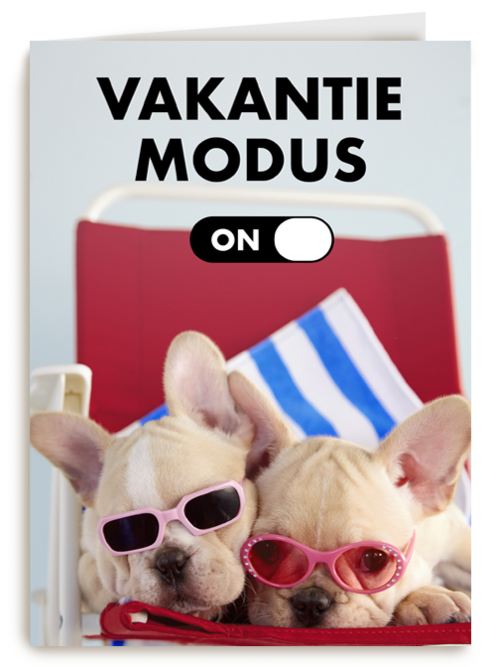 vakantiemodus aan staykation