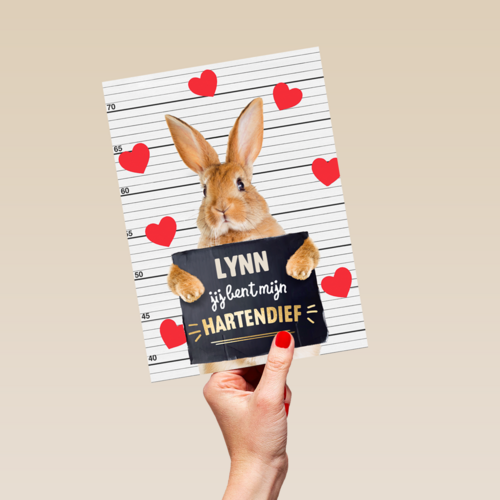 valentijn kaart konijn grappig jij bent mijn hartendief