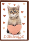Liefde kaart kat met hart en dikke knuffel