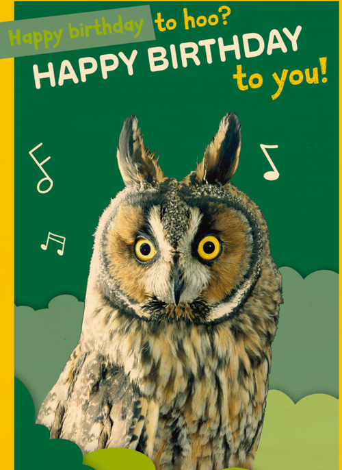 Happy Birthday to hoo