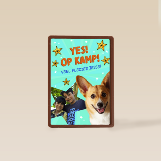 Op kamp corgi