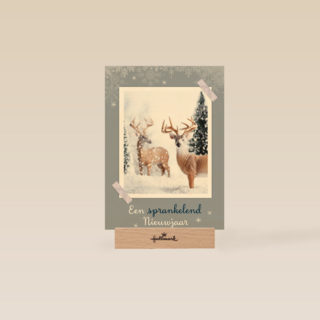 2 herten in de sneeuw